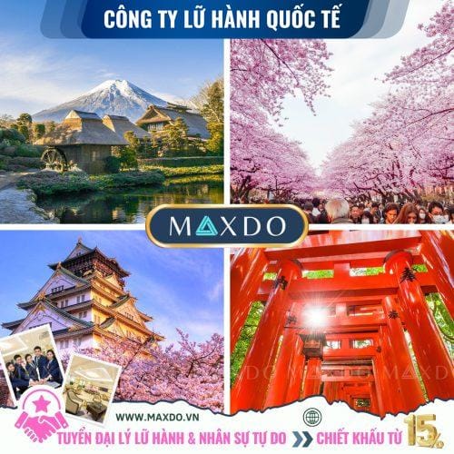 Tour Du Lich Nhat Ban Sac Hoa Anh Dao Tren Cung Duong Vang Tokyo Phu Si Kyoto Kobe Osaka 8469